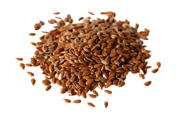 Flax Seed