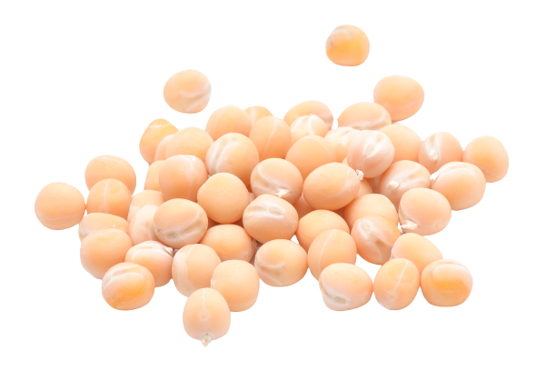 Seed Peas