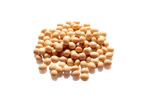 Soybean Seeds