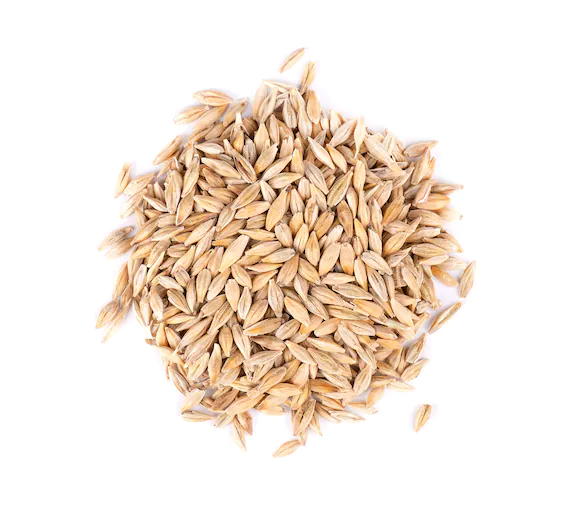 Flax Seed