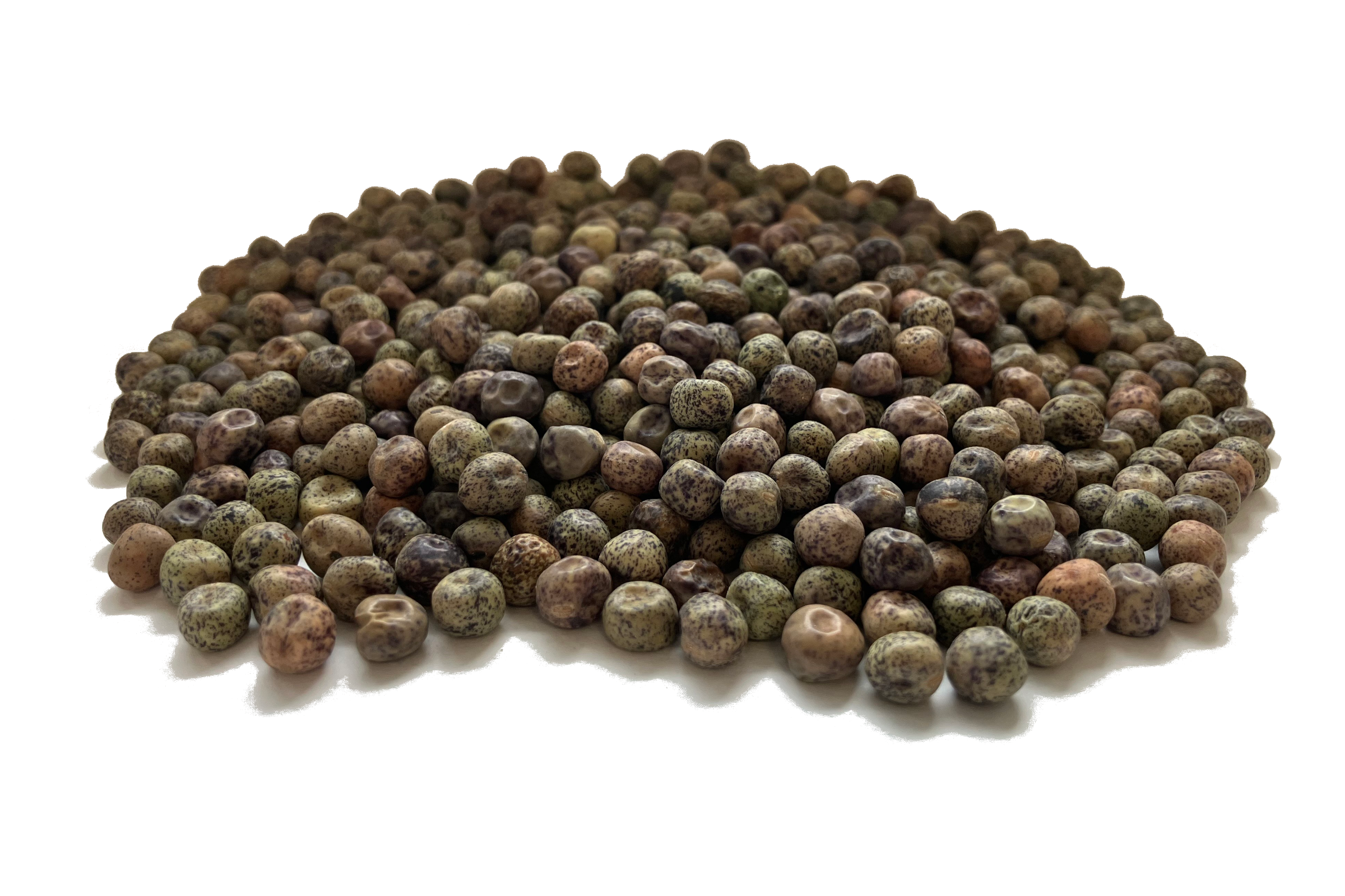 Seed Peas