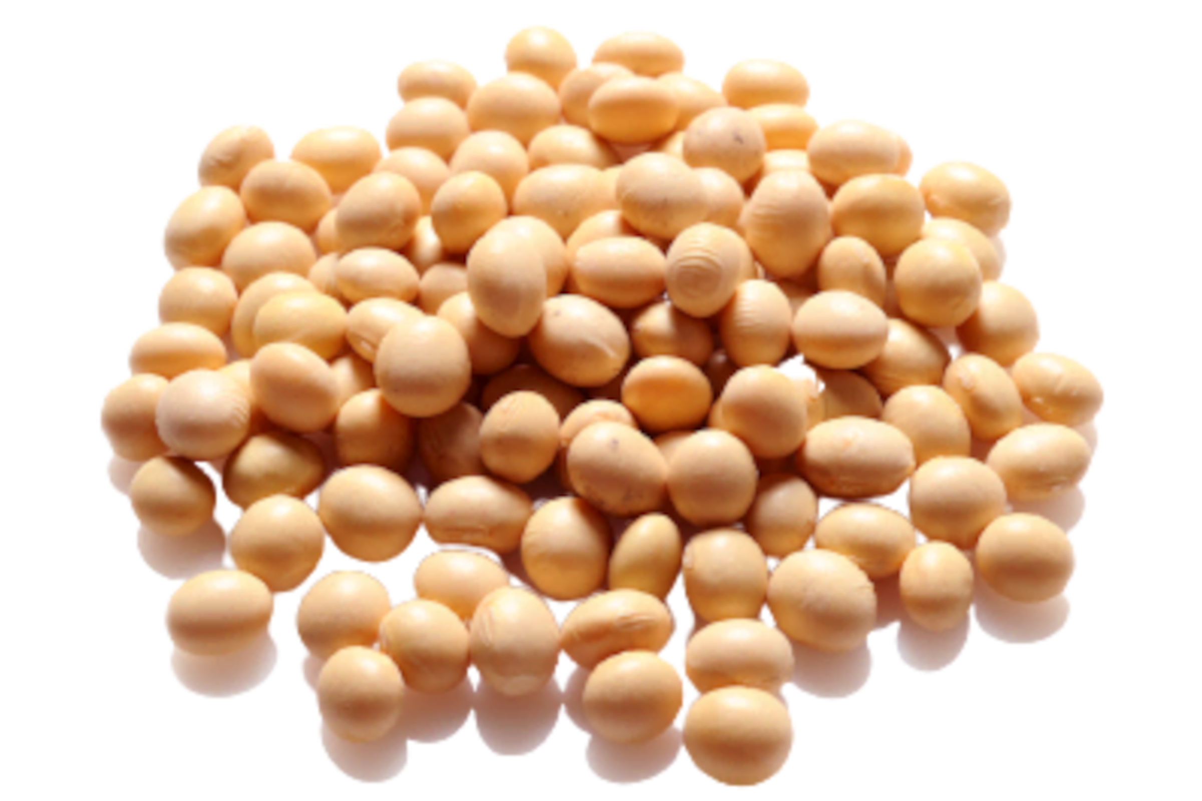 Soybean Seeds